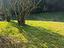 Immagine 9
