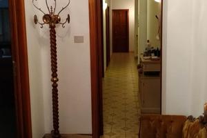 Camera singola in appartamento