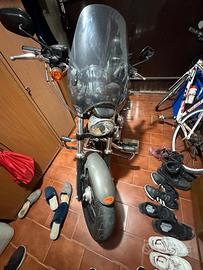Harley Davidson xl 1200  C castom sporster