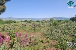 Terreno agricolo 3.200mq zona doc a castiglione
