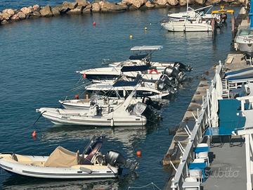 Saver 540 con motore selva 40 cavalli 40/60