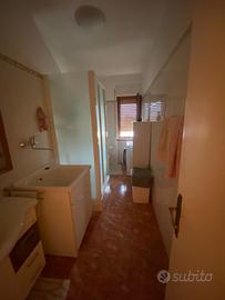 Appartamento + terreno