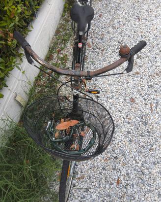 bici da città 