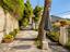 Immagine 22