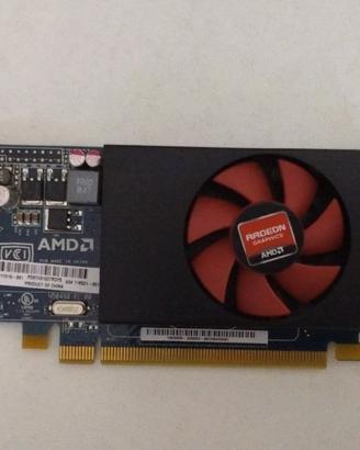 Sceda Video AMD Radeon HD8490 DP+DVI