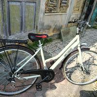 bicicletta donna