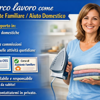 Assistente familiare / aiuto domestico