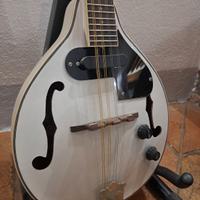 Mandolino Stagg Bluegrass M50E elettrico