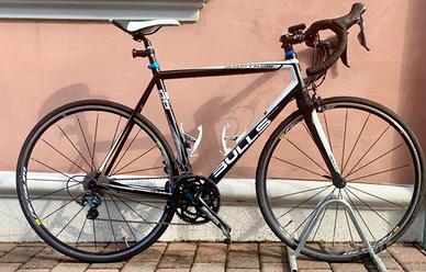 Bulls desert falcon 2018