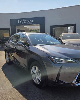LEXUS UX 250h UX Hybrid Business