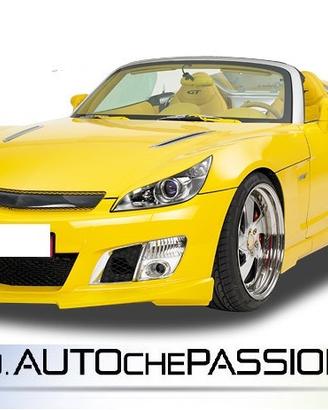 Calandra per Opel GT Roadster dal 2007 2009