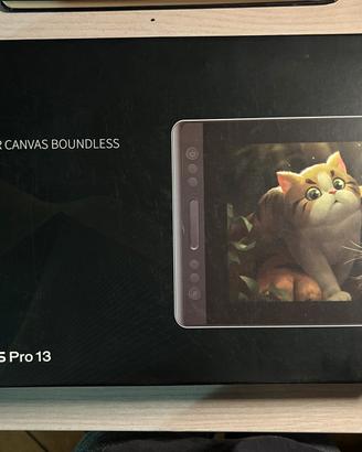 Tavoletta grafica Huion Kamvas pro 13