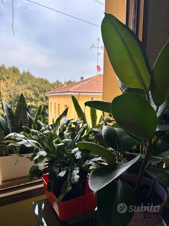 Appartamento – Sasso Marconi, Lagune - Vista 5