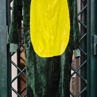 vestito carnevale drago 