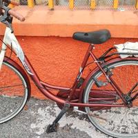 Bici donna 26