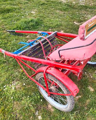 calesse pony+finimenti 