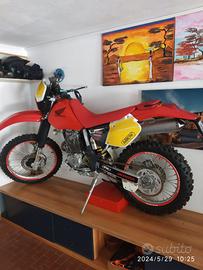 Honda  xr 250