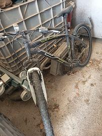 bici usato