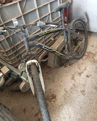 bici usato