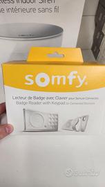 somfy lettore badge antifurto