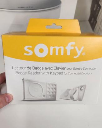 somfy lettore badge antifurto