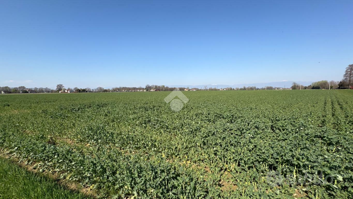 TER. AGRICOLO A SAN GIORGIO IN BOSCO - Vista 3