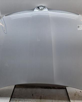 COFANO ANTERIORE SKODA Roomster 1° Serie 5J082303