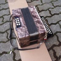 Fisarmonica depoca honner