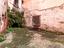 Immagine 11