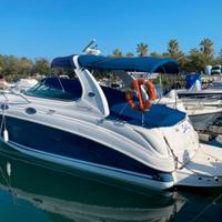 Sea Ray 315 - Barca a Motore