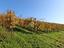 Immagine 26