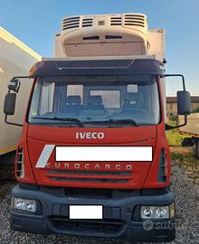 Motrice frigo IVECO Eurocargo con sponda idraulica