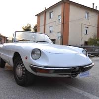 Alfa Romeo Spider Duetto 1.3