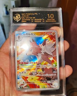 Carta Pokemon Lycanroc gradita Ap 10