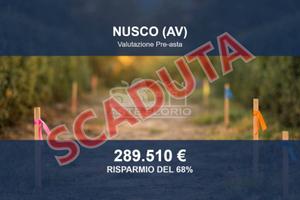 Immobile in asta di 29095 m² a Nusco