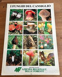 Poster I Funghi del Cansiglio