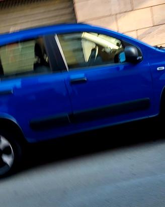 Panda  Cross