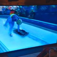 Televisore LG 55 pollici  OLED 55B8PLA 4K