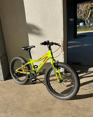 Bici Aurelia MTB 21 pollici