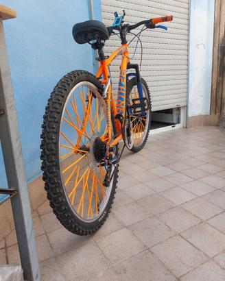 Bicicletta