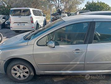 Peugeot  307 1600 90 cv