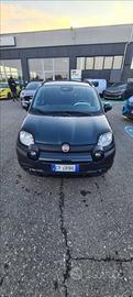 FIAT Pandina 1.0 firefly hybrid Icon s&s 70cv