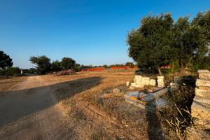 Terreno 3000mt con accesso da strada principale