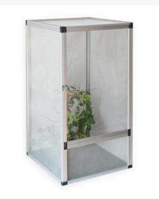 Terrario per camaleonte