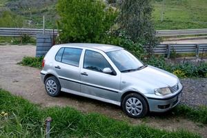 polo 2002