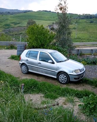 polo 2002