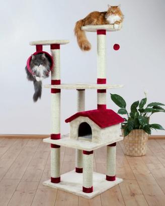TIRAGRAFFI PRAGA NUOVO PER GATTI