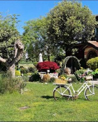 Immobile di 840 m² con più di 5 locali a Rivolta d