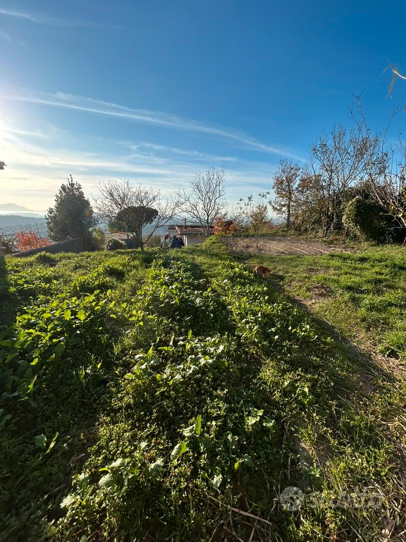 Terreno agricolo - Vista 5