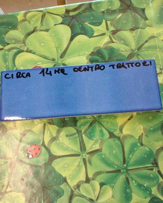 Piastrelle Blu